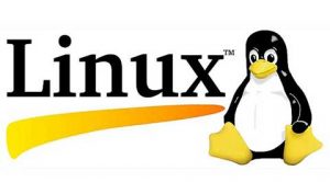 提升Linux以增强开源软件的影响力